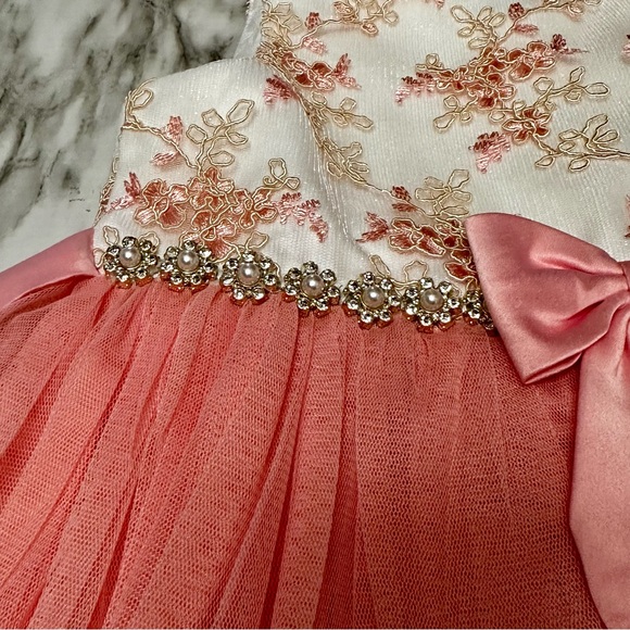 American Princess Pink Tulle Dress Sz 6 Floral Jacquard Jeweled Waist Fancy Gown - Picture 5 of 10